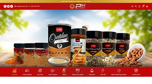 website development packages in pakistan